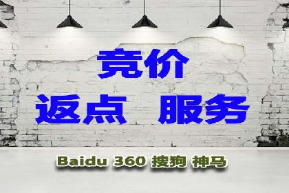 深入了解SEM托管公司的操作技巧与成功案例